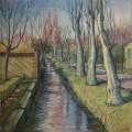 Arbres en hiver - Arbres