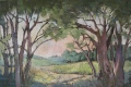 En sortant du bois - Arbres