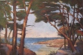 Pins maritimes - Arbres