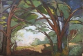 Sous-bois - Arbres