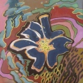 Fleur bleue de Prusse - Fantaisies