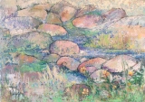 Le ruisseau - Visions paysagères