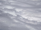 Neige - Photos