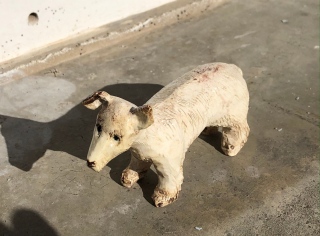 Chien blanc - Céramiques et bronze (2026)